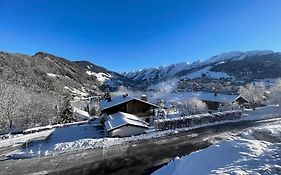 Richemont 12 - Duplex proche pistes vue